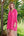 Reeva – Strand-Hemdkleid