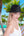 Solana - Wide Brim Straw Sun Hat